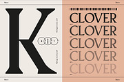 Pavilion Serif Typeface, a Serif Font by God Control (Thumbnail 3 of 12)