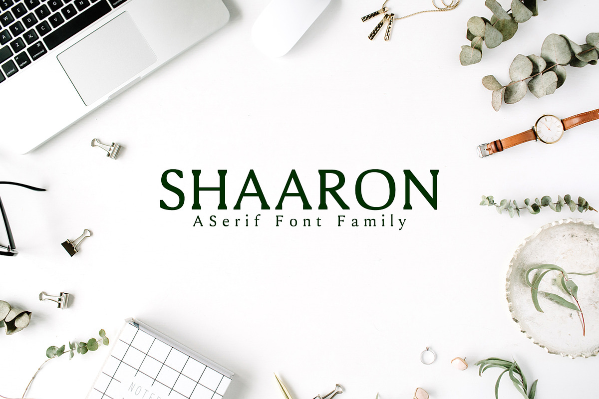 Shaaron A New Serif 2 Font Family