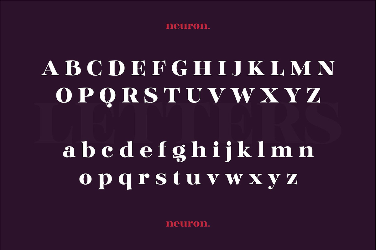 Glinde, a Serif Font by nurrontype (Photo 8 of 12)