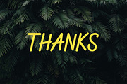 Borderland, a Script Font by Zelda Graphic (Thumbnail 5 of 5)