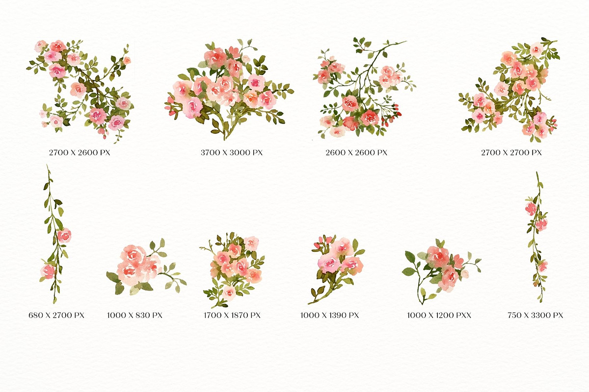 Vintage roses, a Decorative Illustration by AnnelyBlooms (Photo 6 of 7)