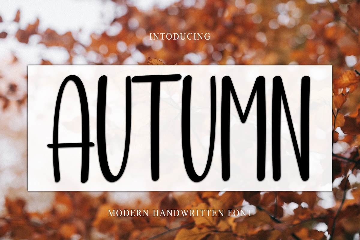 Autumn, a Sans Serif Font by InermediaSTUDIO (Photo 1 of 5)