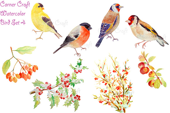 Watercolor Goldfinch Bullfinch preview 3
