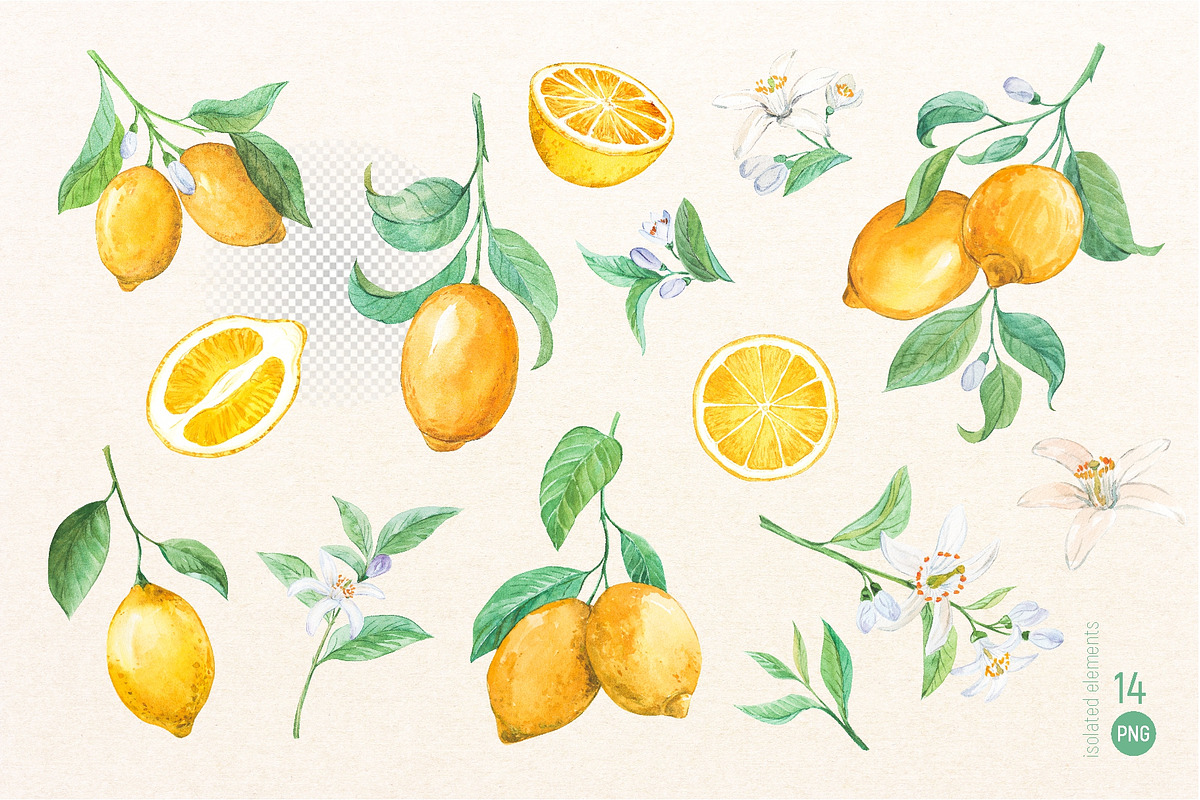 Juicy Lemon. Watercolor set, a Food Illustration by Tata Pilip (Photo 2 of 7)