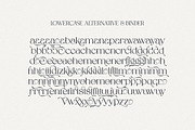 Spadore | 6 Font Files, a Serif Font by Pista Mova (Thumbnail 14 of 18)