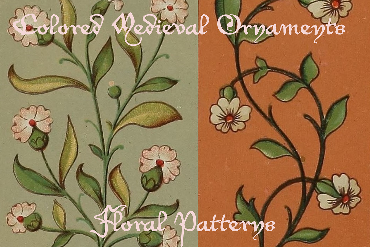 Colored Medieval Ornaments, an Object Graphic by Intellecta Design (Photo 7 of 12)
