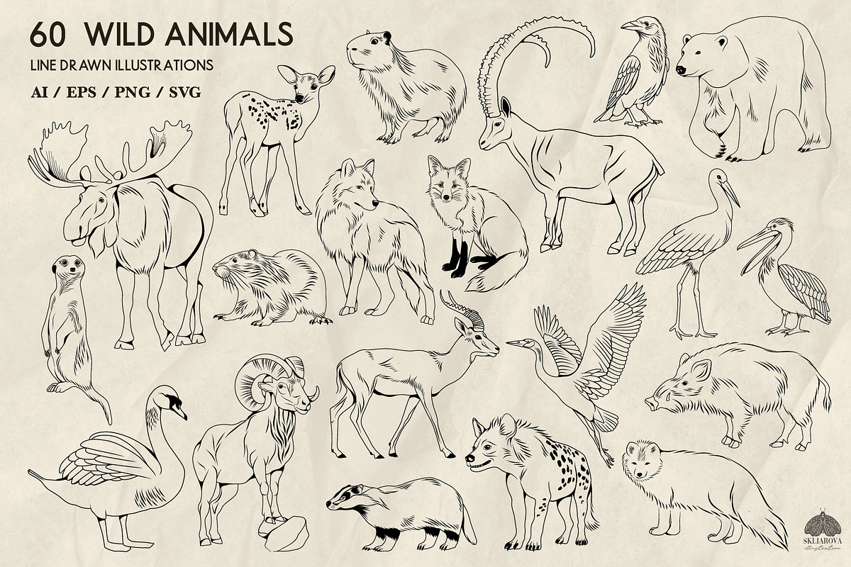 Wild Animals Line Art + Procreate, an Animal Illustration by Skliarova (Photo 4 of 4)