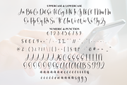 Holding | Script Font, a Handwritten Font by Scratchones (Thumbnail 7 of 9)