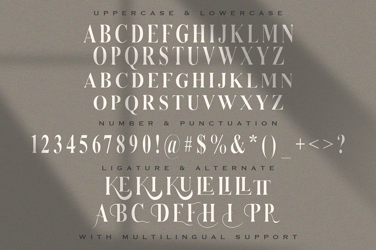 Serizawa - Classic Serif Font, a Serif Font by StringLabs (Photo 11 of 12)