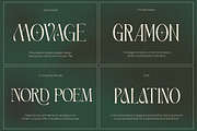 Elegant Condensed Volume 4, a Serif Font by Taboja Studio (Thumbnail 7 of 22)