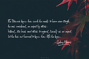 Caldwell Script, a Script Font by ALIVECREATIVE (Thumbnail 3 of 5)