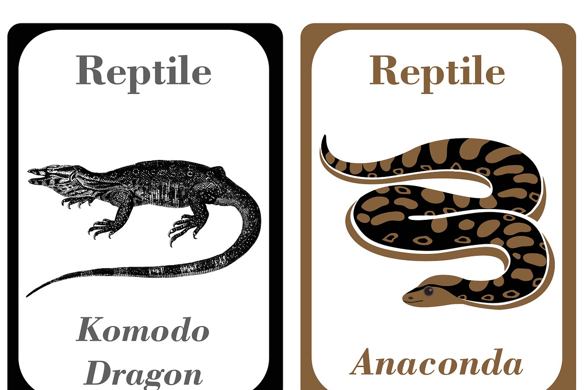 Reptiles Flash Cards Kids, a Card Template by DigitalsDesigns (Photo 2 of 4)