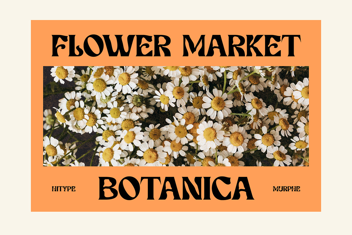 Murphe Display Typeface - Hitype, a Serif Font by Hitype (Photo 8 of 12)