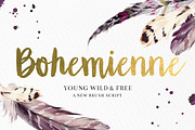 ENTIRE SHOP BUNDLE, a Script Font by Shelly Laslo Illustration (Thumbnail 11 of 11)