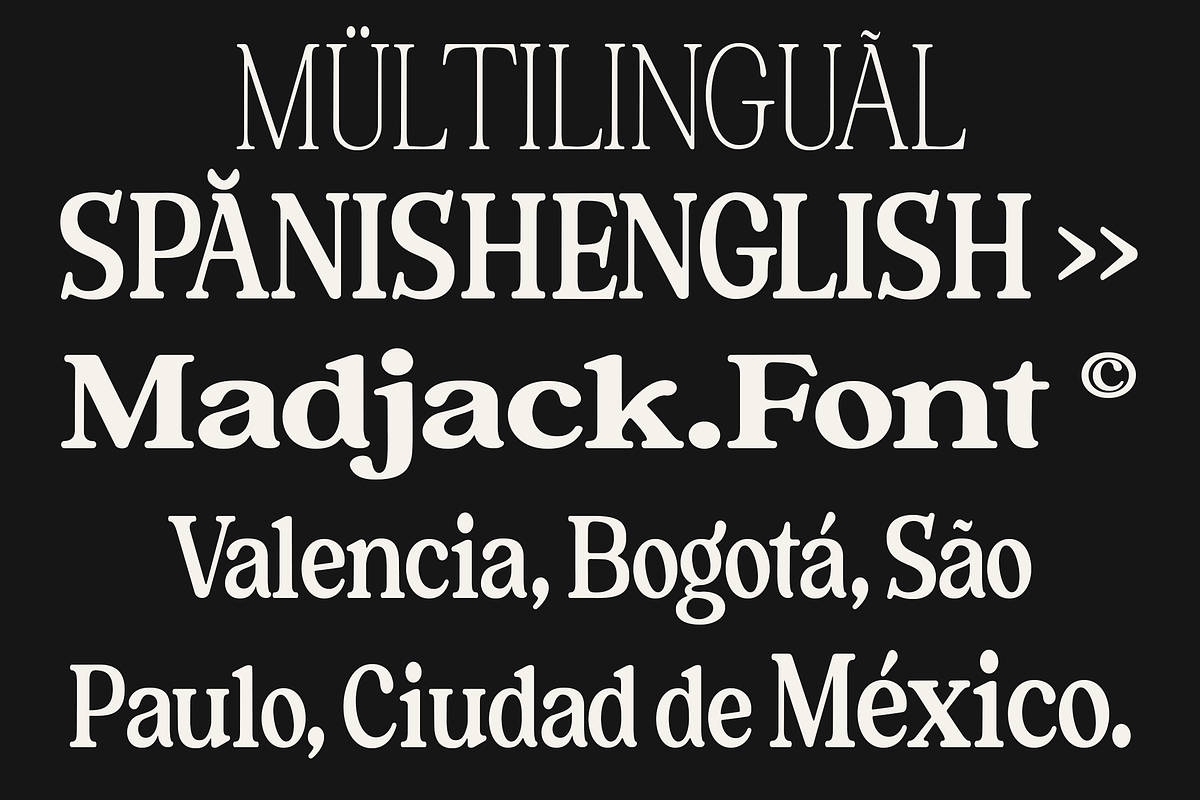 Forginty Serif Font, a Serif Font by Madjack.font (Photo 5 of 13)