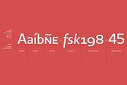 Copihue, a Sans Serif Font by Letritas (Thumbnail 3 of 12)