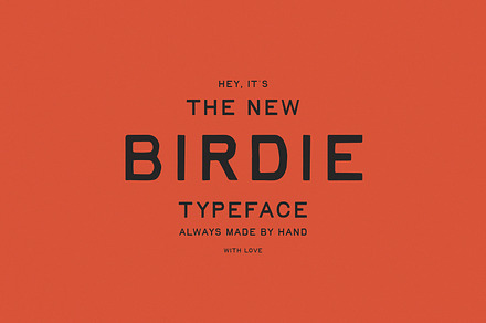 Birdie | Vintage Print Font, a Handwritten Font by Taylor Penton