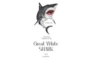 Watercolor Great White Sharks Set, an Animal Illustration by MayaNavits (Thumbnail 6 of 7)