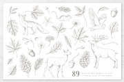 Woodland Sketches Vector Collection, an Animal Illustration by rouxsupplyco (Thumbnail 2 of 19)