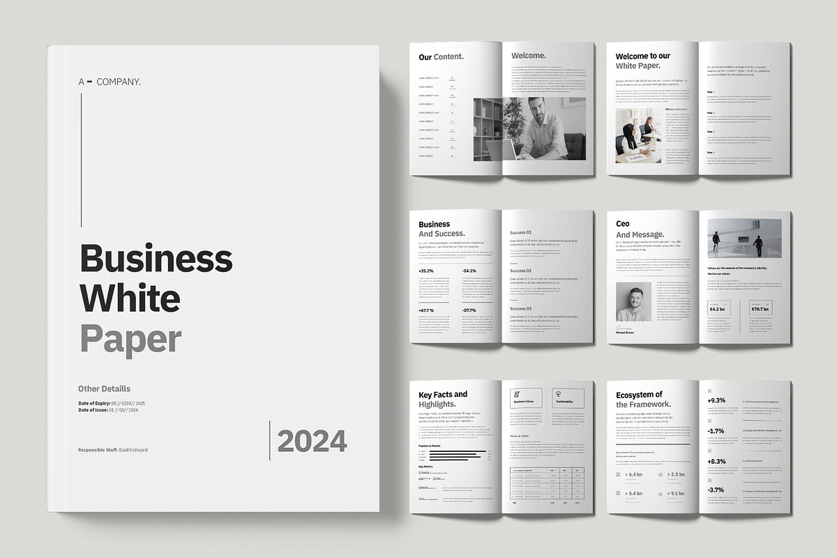 White Paper Template, a Brochure Template by ContestDesign (Photo 1 of 4)