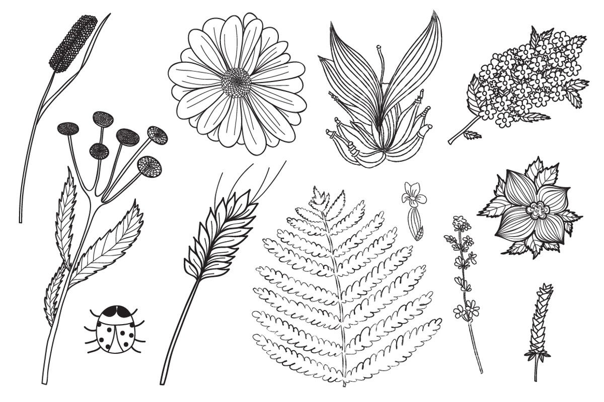 Hand drawn flowers, a Graphic by lycka (Photo 2 of 4)