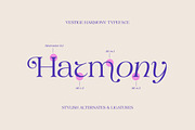 Vestige Harmony, a Serif Font by Attract Studio (Thumbnail 5 of 14)