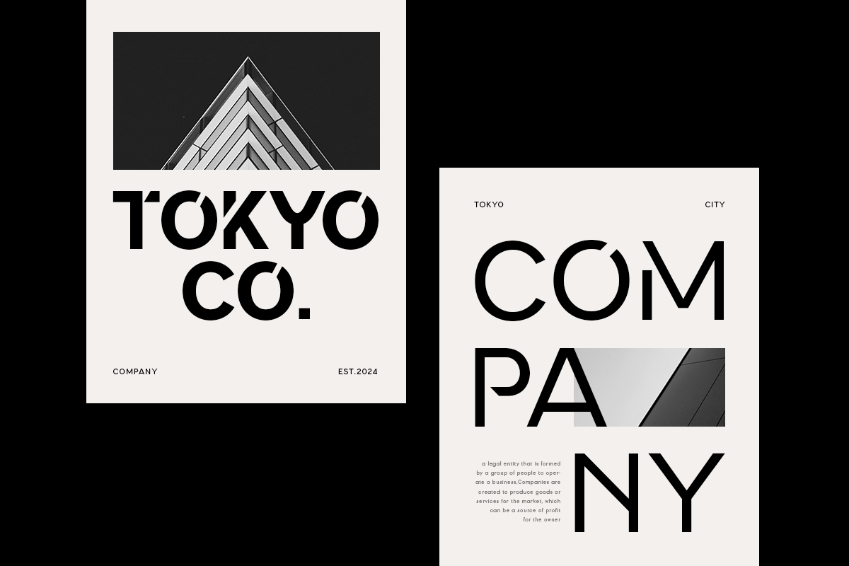 Black - Modern Corporate Sans Serif, a Sans Serif Font by Hamz Studio (Photo 3 of 13)