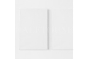 Set Of 3 Canvas Mockup