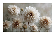 Hihe Co. White Floral Art, a Texture Illustration by milatovar (Thumbnail 7 of 20)