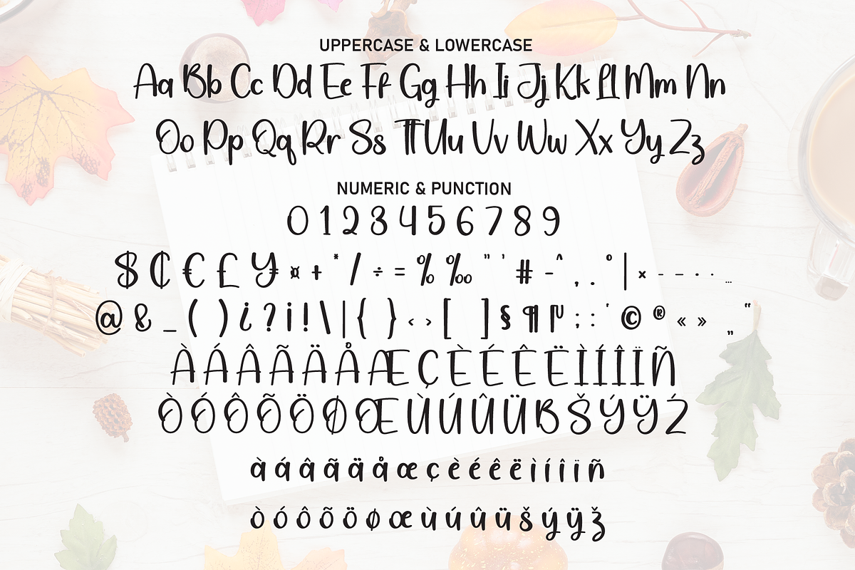 September | Script Font, a Script Font by Scratchones