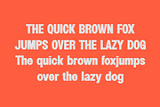 Winking - Modern Sans Serif, a Sans Serif Font by TypeLogue (Thumbnail 2 of 5)