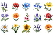Wildflower Clipart Bundle, an Illustration by Designking (Thumbnail 2 of 5)