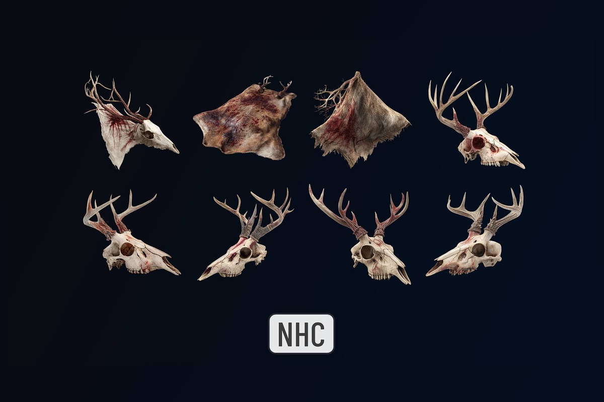 NHC – Leather Animal Trophies, an Animal Illustration by New Horizon Creators (Photo 5 of 6)