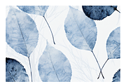 Cyle Collection · Blue Tone Leaves, a Background Graphic by milatovar (Thumbnail 21 of 32)