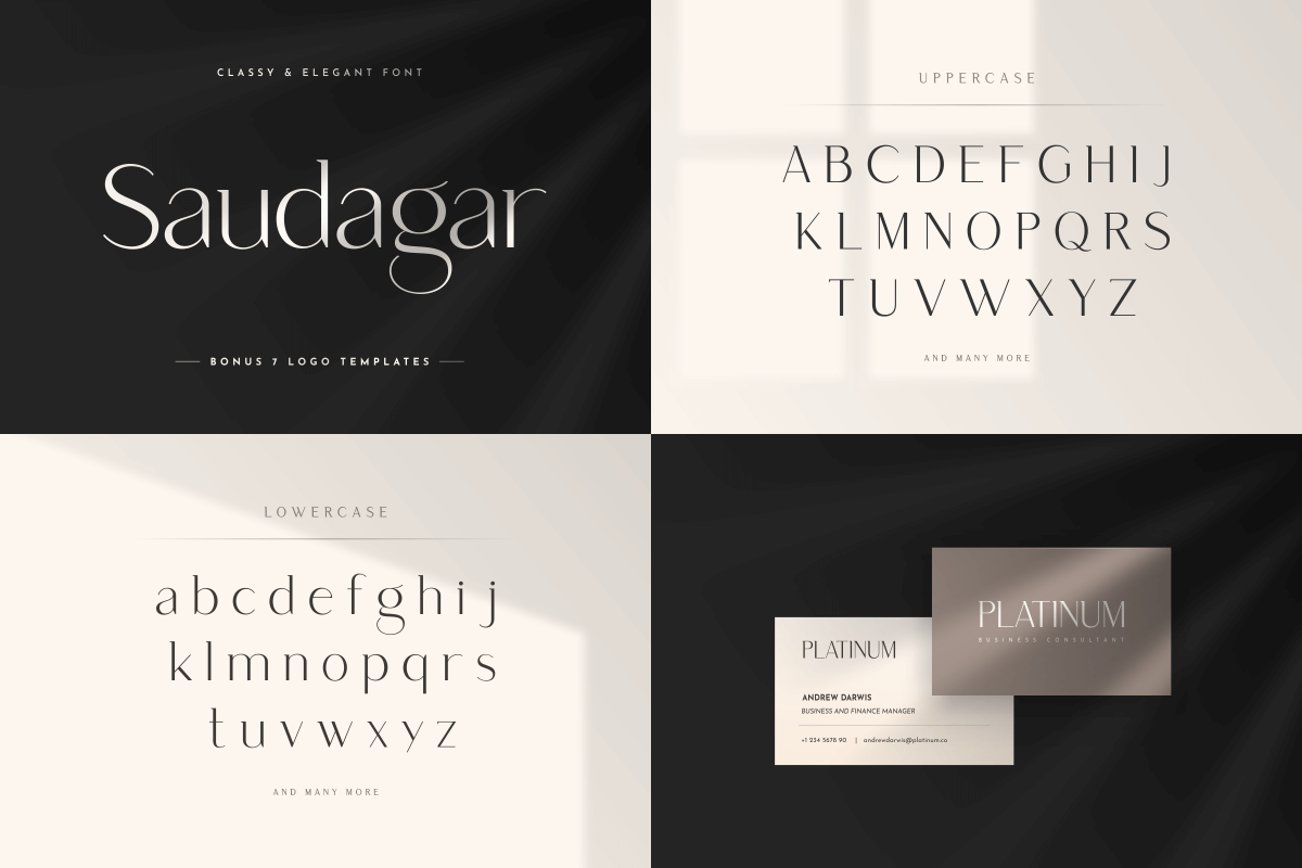 Unique & Classy Modern Font Bundle, a Serif Font by Sensatype (Photo 9 of 11)