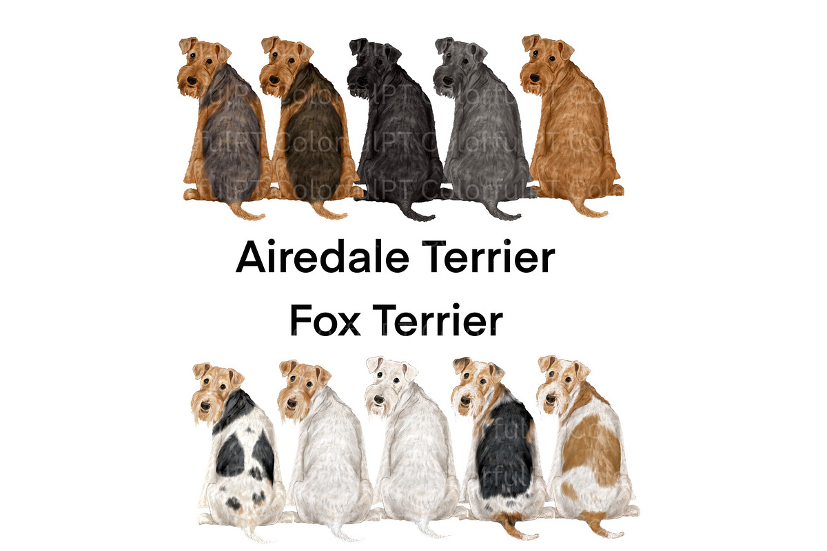 Dog Breeds Clipart, an Animal Illustration by ColorfulPT (Photo 6 of 8)