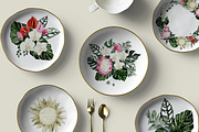 Protea - tropical collection, a Texture Illustration by Backyard Rose (Thumbnail 9 of 22)