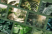 135 Green Leaves Stock Photos, a Nature Photo by Incomelion (Thumbnail 5 of 7)