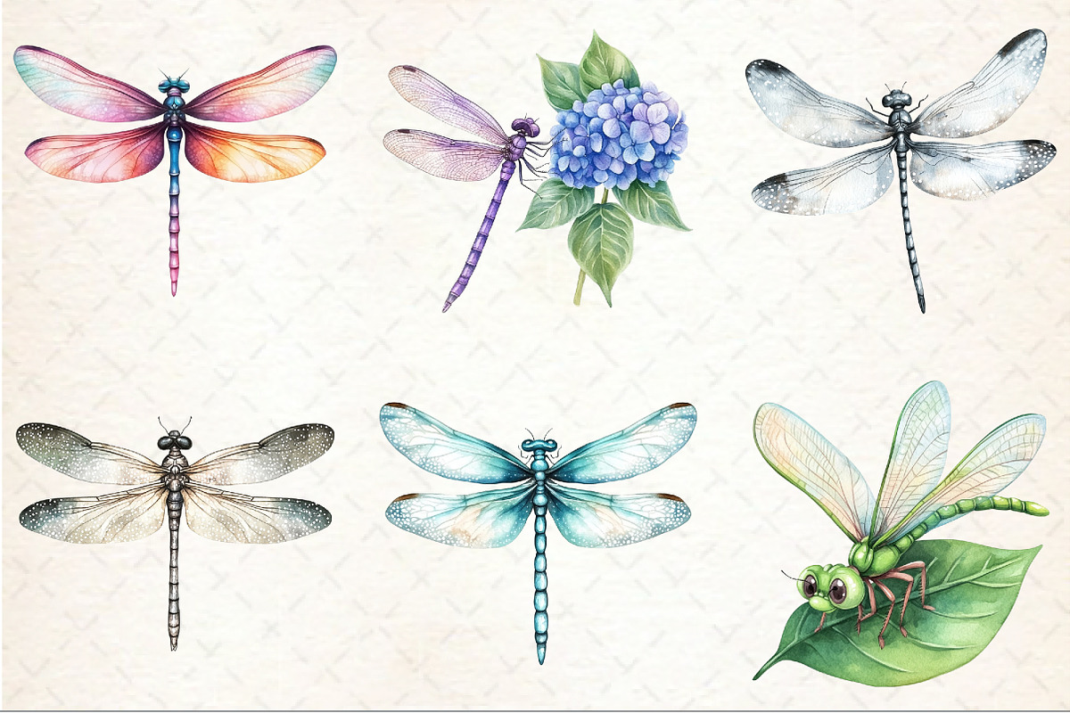 Summer Dragonfly Garden Clipart, an Illustration by Rose Art (Photo 4 of 4)