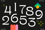 TAN - OUR TIMES, a Serif Font by TanType (Thumbnail 12 of 13)