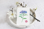 Watercolor Purple Flowers clipart, a Graphic by WatercolorAnn (Thumbnail 4 of 5)
