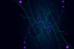 Particles Tunel Loop Background AEP, a Templates & Theme by Josep Motion
