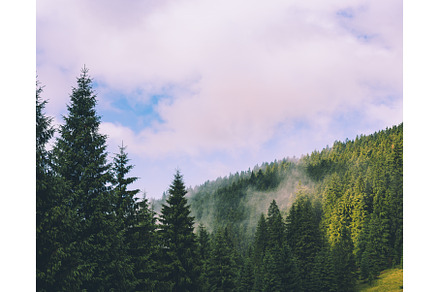 Misty mountain landscape, a Nature Photo by Nature and travel