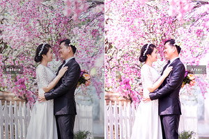 Cherry Blossom Pro Lightroom Presets