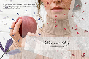 Petal & Page - Paper and Fowers