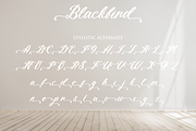 Blackbird - Elegance Calligraphy, a Script Font by Fikryal Studio (Thumbnail 11 of 11)