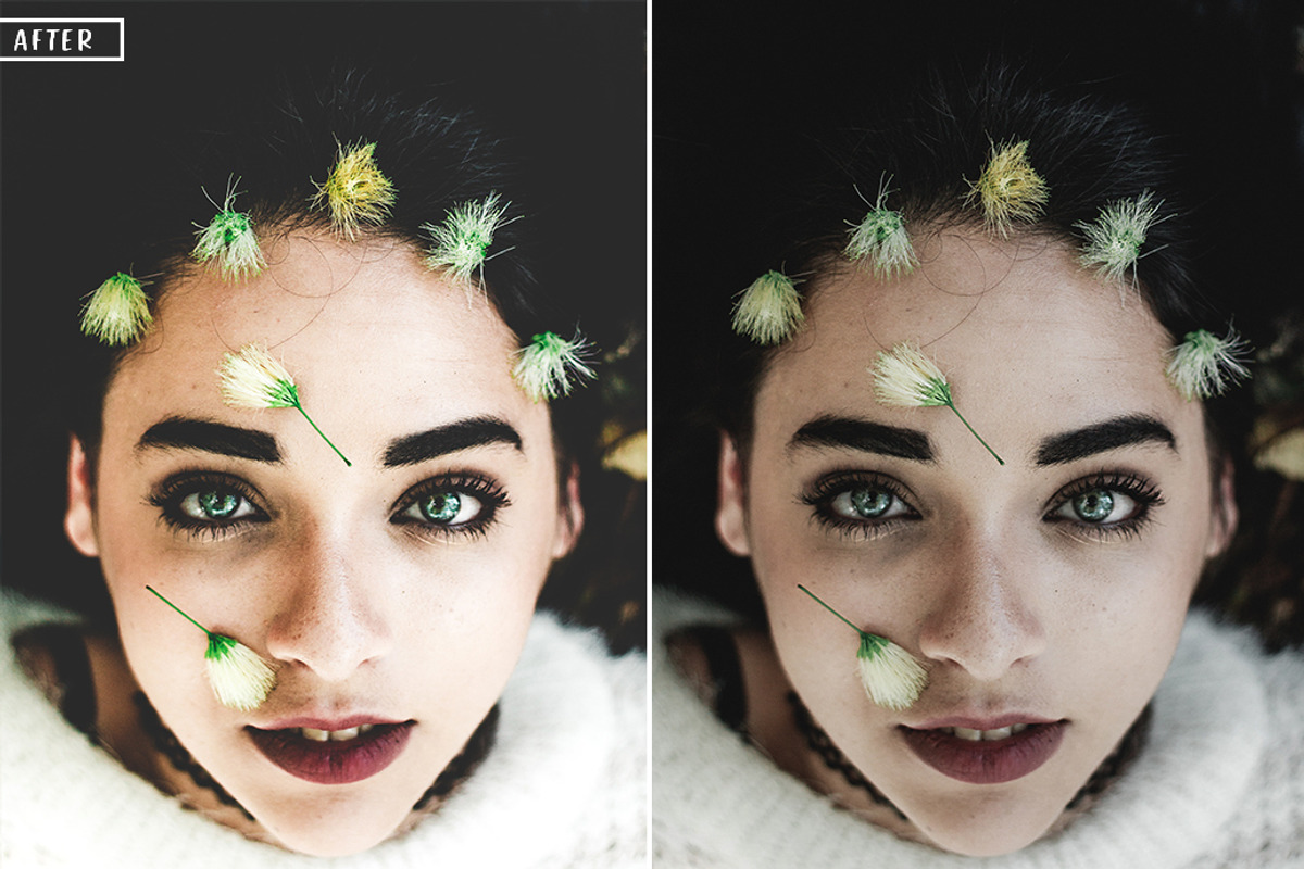 25 Pro Portrait Lightroom Presets preview 3