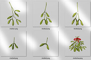 Mistletoe clipart watercolor png set, an Illustration by ARTVracovska (Thumbnail 2 of 5)