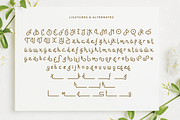 Shabyan - Fresh Arabic Style Font, a Handwritten Font by overlaytemplates (Thumbnail 5 of 5)