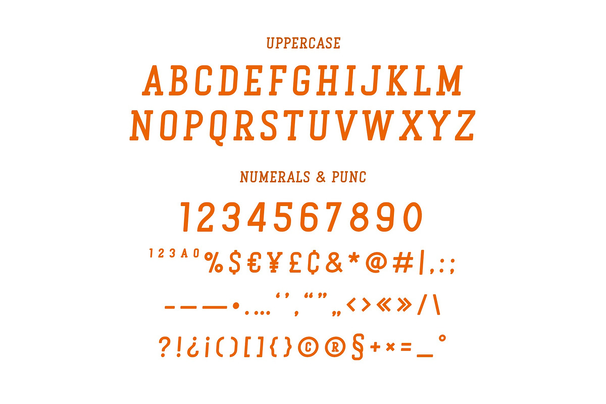 Pumpkin Darling - Slab Serif Font, a Slab Serif Font by ariodsgn (Photo 2 of 7)